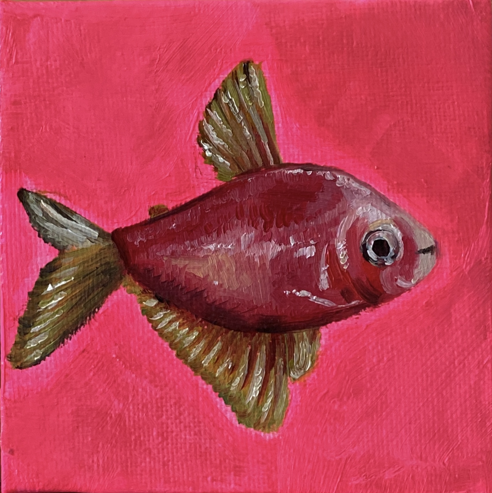 Painted fish on a colourful background